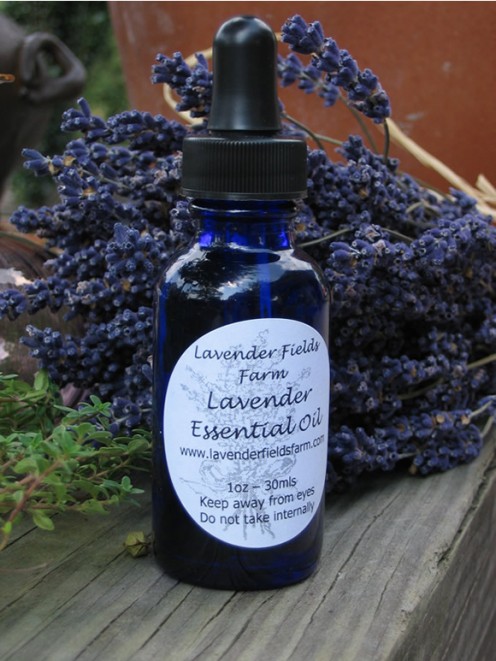 Lavendar induces sleep, relaxation and even relieve pain.