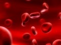 The Blood Type Diet: How Blood May Determine What Diet Is Best For You