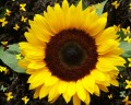 10 Alternative Treatments that Go Hand-in-Hand with Color Therapy