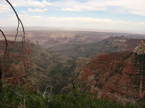 The Grand Canyon