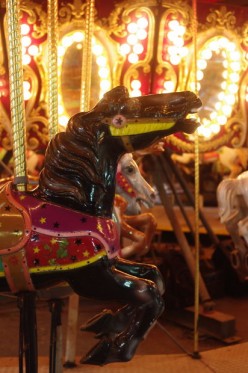 Things to Bring Along for a Day at the Amusement Park