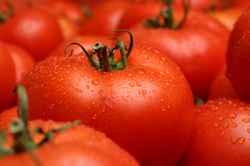 tomatoes - a great source of healthy lycopene