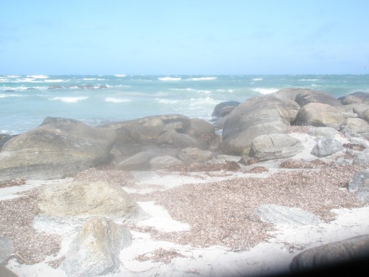 Together you find your home among the rocks and waves.