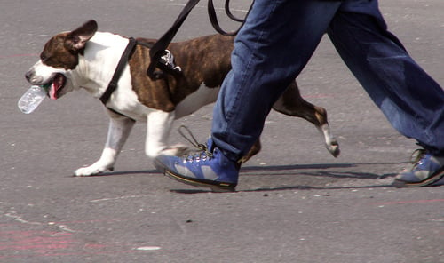 Research Shows Walking Helps High Blood Pressure.  Photo courtesy of Sister72 under Creative Commons Attribution License