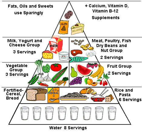 www.ohsu.edu/.../images/food_pyramid.gif