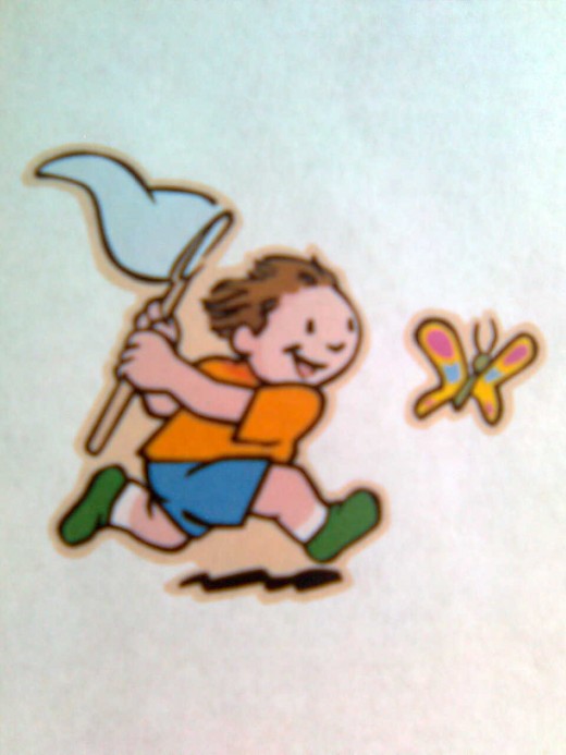 butterfly catching