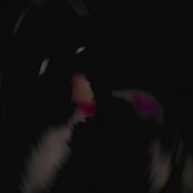 Durwardian profile image