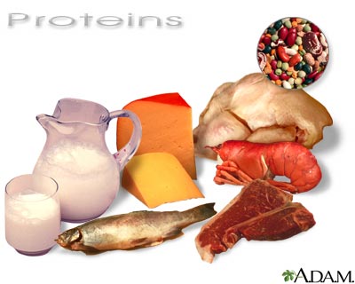 Where do you get protein supplement if you are a vegan?? ---