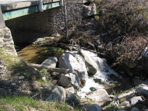 The bridge; you can go left and find an enchanting area for a picnic. (Photo courtesy of yours truly)