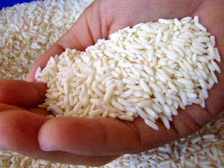 Feed Rice