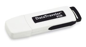 Kingston trusted flash disk brand