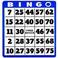 Tips For Calling Bingo And Bingo Number Rhymes | HobbyLark