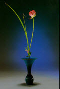 Picture from www.japan-zone.com