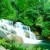 Paraty waterfall - Courtesy by flickr.com/photos/mark_i_geo/4159628993 Paraty waterfall - Courtesy by flickr.com/photos/mark_i_geo/4159628993