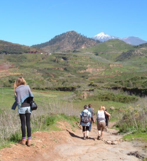 Walkers in Erjos