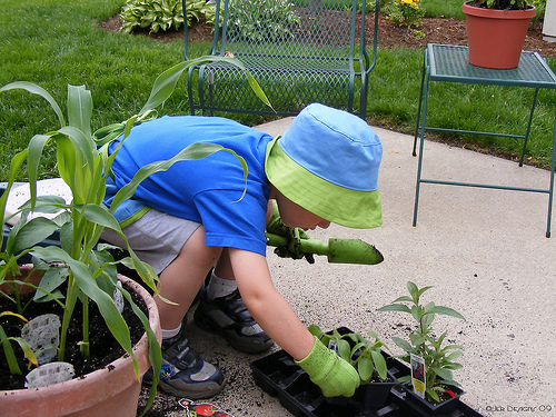 You can also involve your kids into gardening.