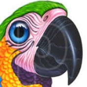 Darey profile image