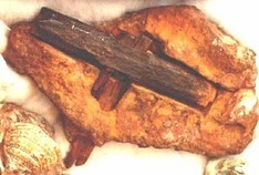 iron hammer found embedded in sandstone
