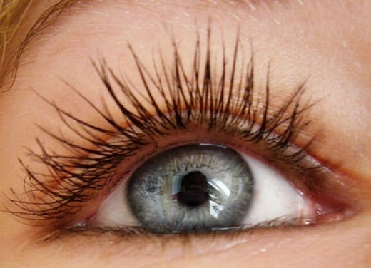 eyelash-growth-rate