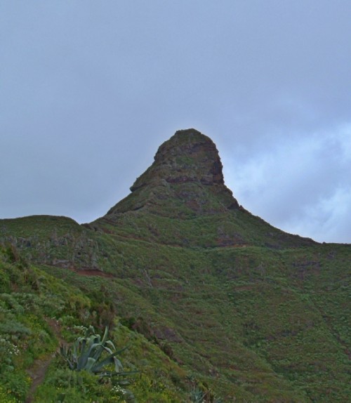 Taborno Roque