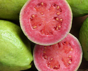 guava fruit