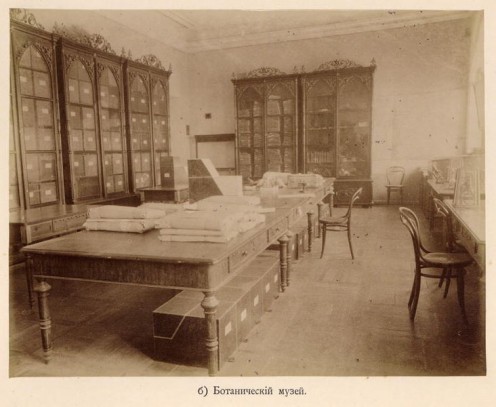 An old russian botanical museum in 1917.