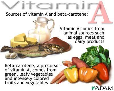 Food sources of vitamin A and beta carotene