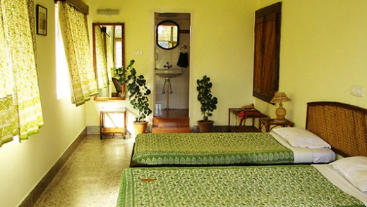 courtesy of http://www.mnn.com