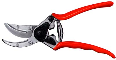 Felco cut-and-hold pruning Shears - F100