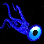 NightSquid profile image