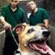Environ profile image