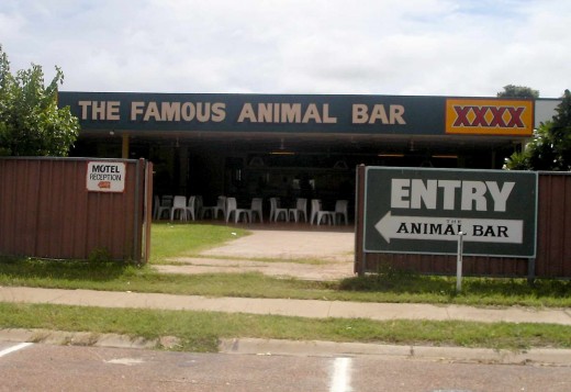 Pub for Psycho Ferals at Karumba