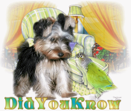 When it comes to Allergies, An Ounce of Prevention is Worth a Pound of Cure!