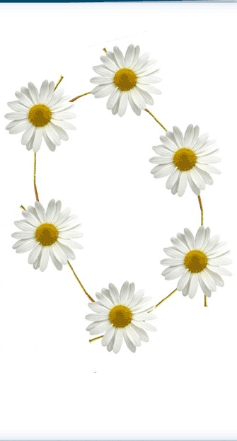 You can daisychain your Hubs together, and let your readers read more about your experiences in an area.