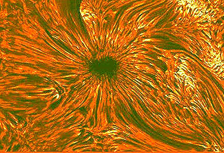 Sunspots consist of an umbra,(dark part), a penumbra (surrounding magnetic ring) and magnetic filaments