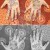 rajasthani mehndi designs rajasthani mehndi designs