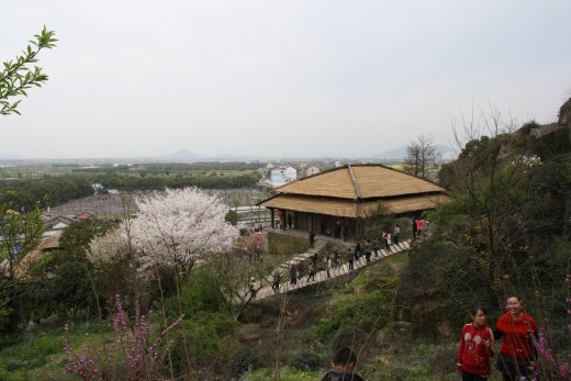 On the mountain