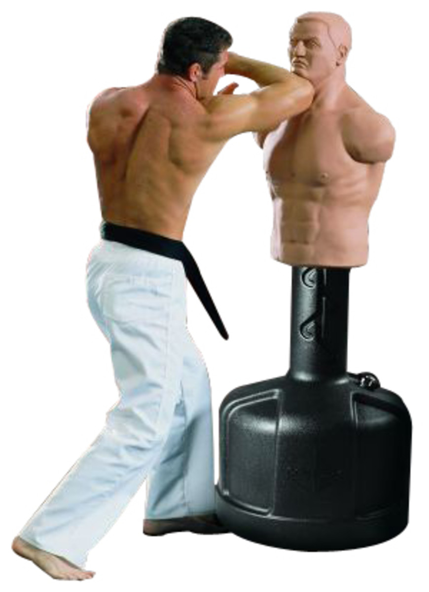 BOB punching bag The closest thing to a real opponent