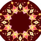 murad0171 profile image
