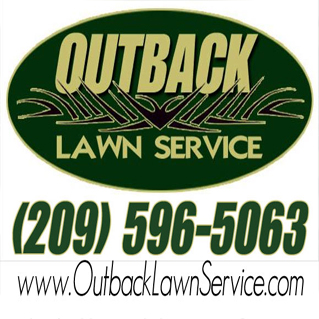 HubPages profile picture for @outback