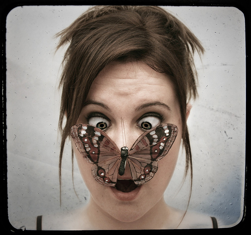 QualComm warns butterfly attacks are on the rise.  Image by kimrose, courtesy of flickr.