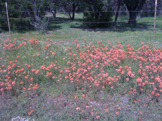 Color everywhere!