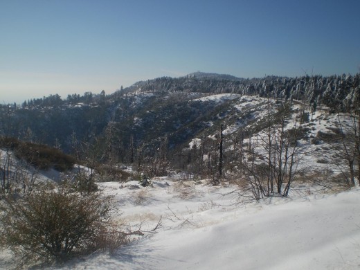 Snow fall creates a beautiful winter wonderland in the San Bernardino Mountains.