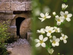 The Start of the empty tomb...
