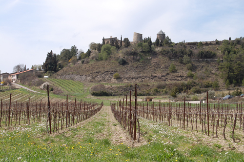 Montlaur has a very big degustation on the Corbieres wine route.