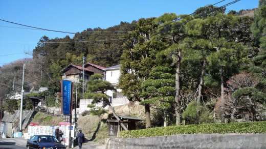 The streets of Kita-Kamakura, complete with beautiful trees, charming houses and plenty of vending machines