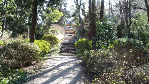 This trail begins at Jochi-ji, and ends in confusion for this traveler