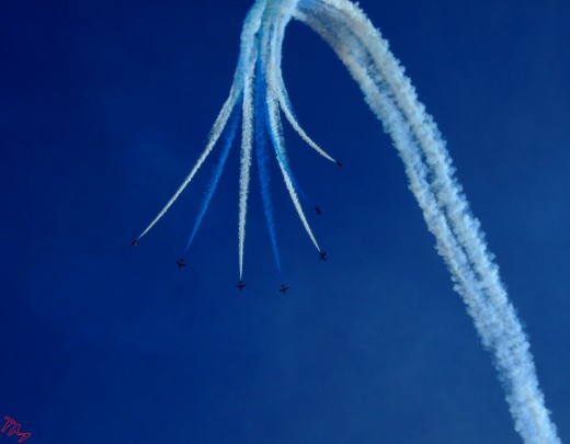 Silhouettes on blue