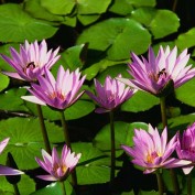 sudarshangajbhare profile image