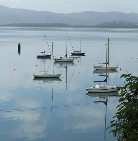 Tamar River, Tasmania, Australia Photo: Lissie